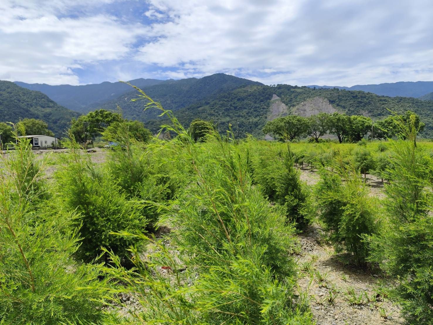 活化棄耕土地,支持友善農作與地方回饋